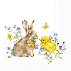 Bunny and Chick