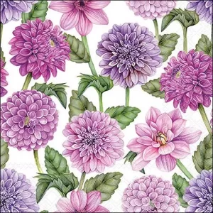 Dahlias in Bloom