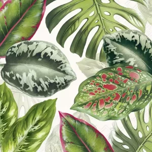 Exotic Leaves