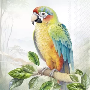 Exotic Parrot