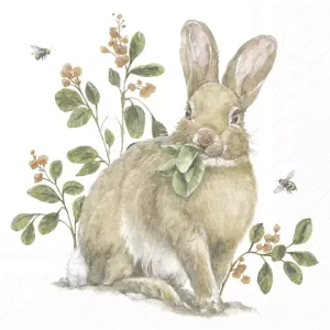 Garden Bunny