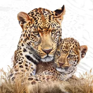 Leopard Mum