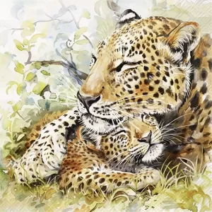 Leopard Family