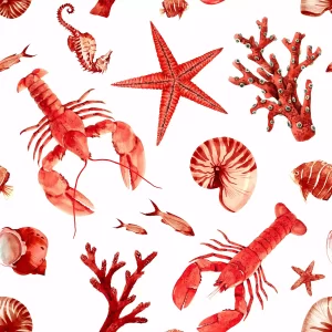 Ocean Animals