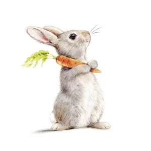 Rabbit and Carrot