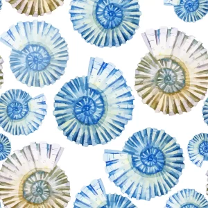 Ocean Shells
